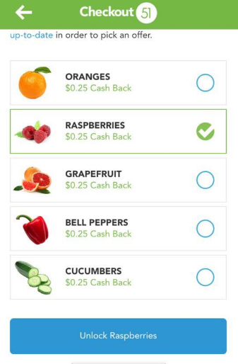FREE Raspberries - Up to a $0.25 MONEYMAKER