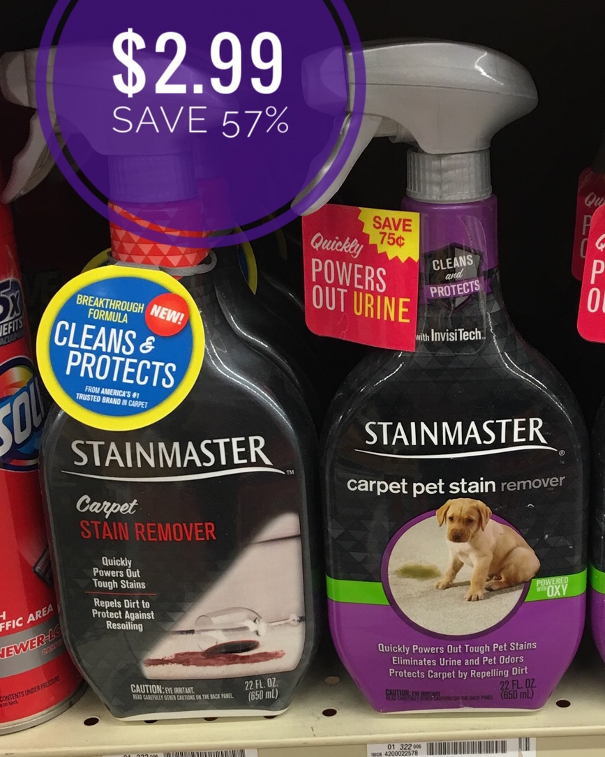 Stainmaster sale