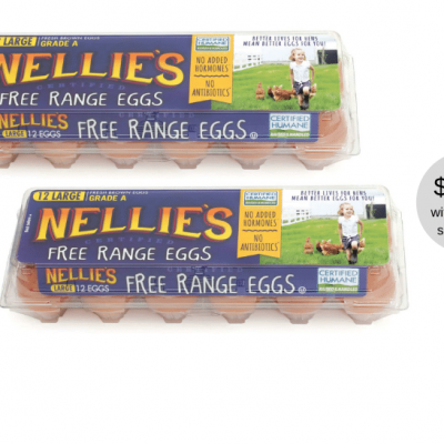 nellies_eggs