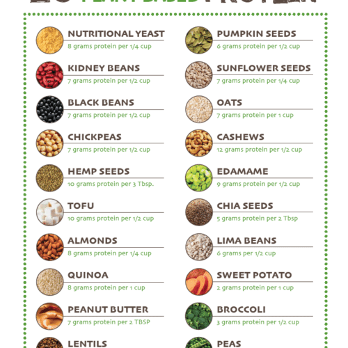 plant-Based_Sources_of_protein