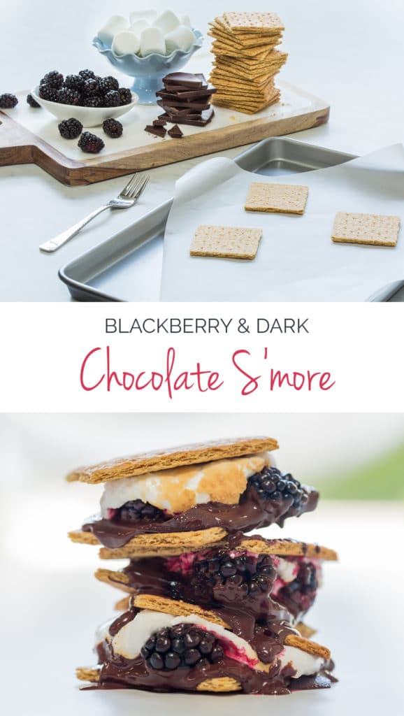 Blackberry Smore Stacked Pin