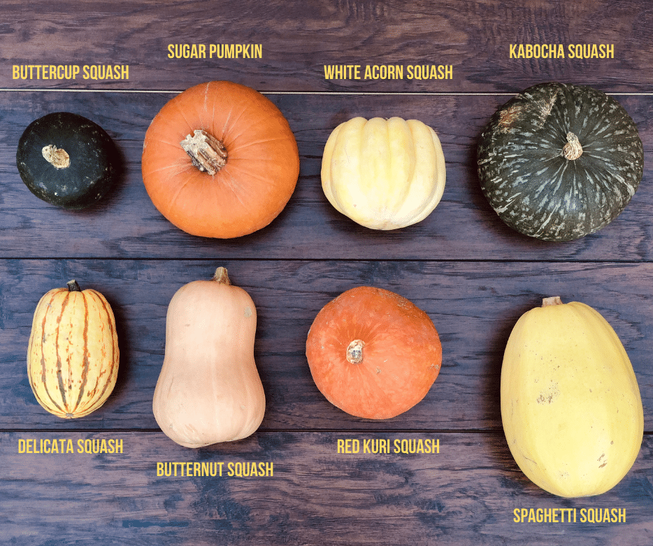 winter squash identification chart