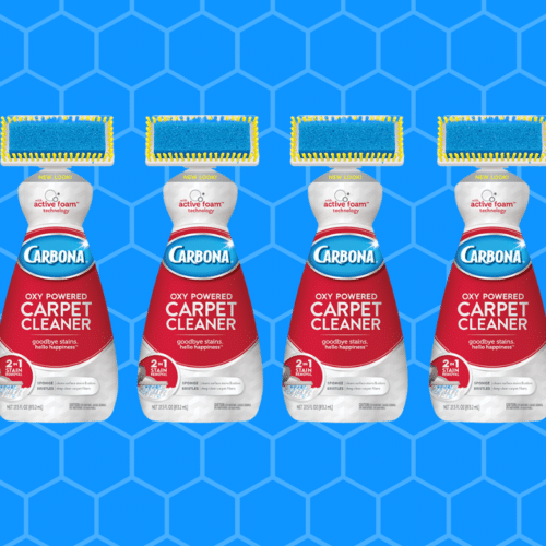 Carbona_Carpet_Cleaner